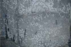 世間遺産 蔵石垣縁起物石組み