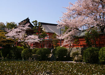 津島の風物詩　津島神社の神苑