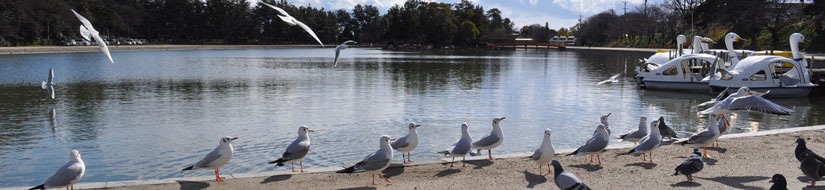 まちづくり津島