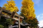 御岳神社の秋