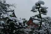 大雪に静まる神苑