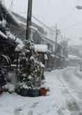 津島街道冬景色