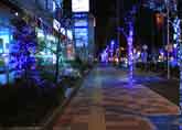 街路樹イルミネーション