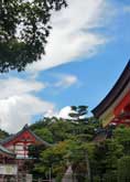 津島神社夏の境内