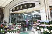 鈴木生花店